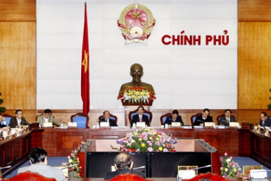 Văn phòng 13Win18 tham gia cá cược có Phó Chủ nhiệm thứ 7